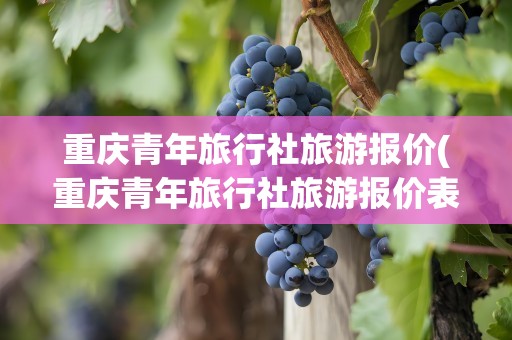 重庆青年旅行社旅游报价(重庆青年旅行社旅游报价表)