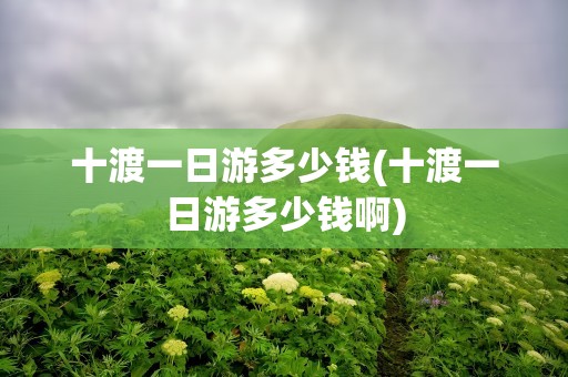 十渡一日游多少钱(十渡一日游多少钱啊)