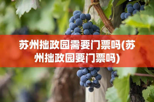 苏州拙政园需要门票吗(苏州拙政园要门票吗)