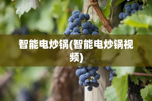 智能电炒锅(智能电炒锅视频)