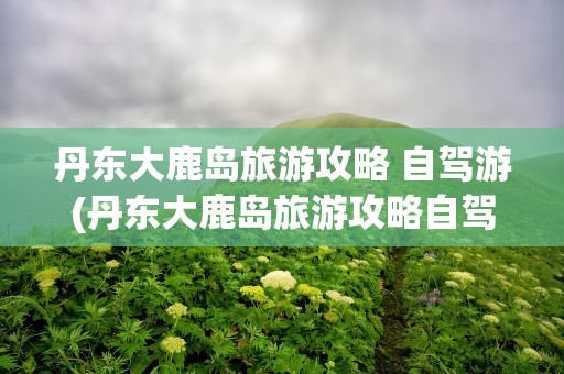 丹东大鹿岛旅游攻略 自驾游(丹东大鹿岛旅游攻略自驾游)