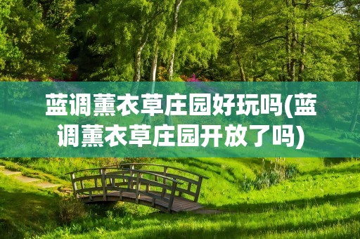 蓝调薰衣草庄园好玩吗(蓝调薰衣草庄园开放了吗)
