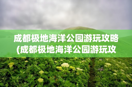 成都极地海洋公园游玩攻略(成都极地海洋公园游玩攻略图)