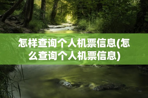 怎样查询个人机票信息(怎么查询个人机票信息)