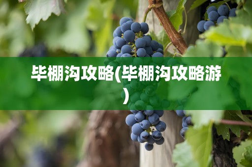 毕棚沟攻略(毕棚沟攻略游)