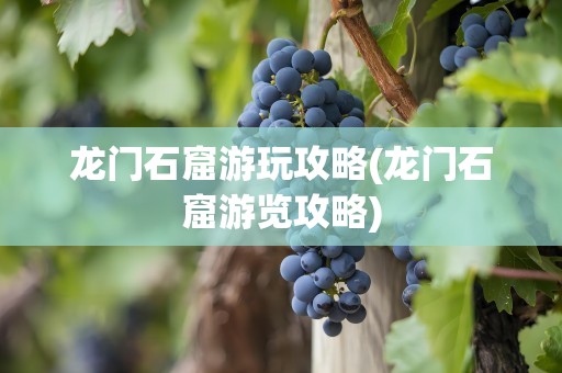 龙门石窟游玩攻略(龙门石窟游览攻略)
