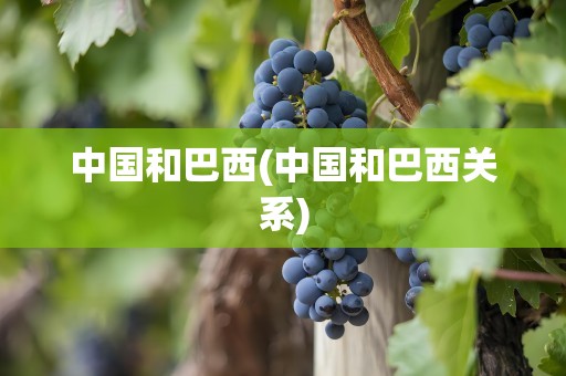 中国和巴西(中国和巴西关系)