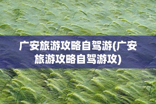 广安旅游攻略自驾游(广安旅游攻略自驾游攻)