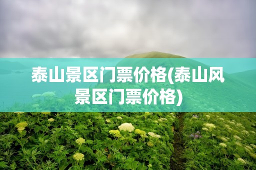 泰山景区门票价格(泰山风景区门票价格)
