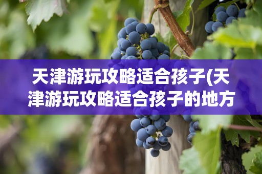 天津游玩攻略适合孩子(天津游玩攻略适合孩子的地方)