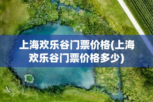 上海欢乐谷门票价格(上海欢乐谷门票价格多少)