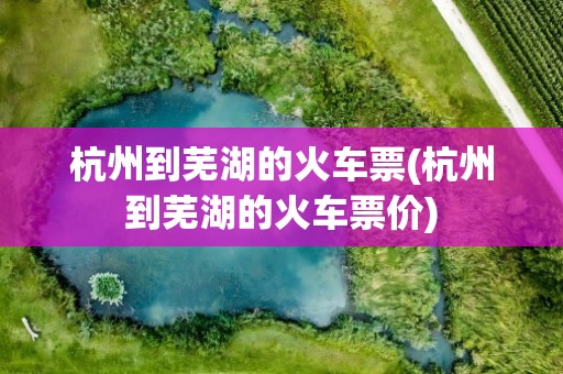 杭州到芜湖的火车票(杭州到芜湖的火车票价)