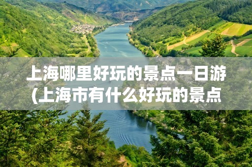上海哪里好玩的景点一日游(上海市有什么好玩的景点一日游)