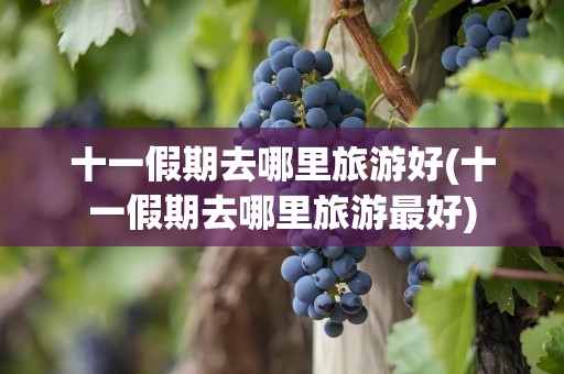 十一假期去哪里旅游好(十一假期去哪里旅游最好)