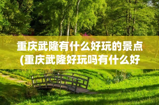 重庆武隆有什么好玩的景点(重庆武隆好玩吗有什么好玩的)