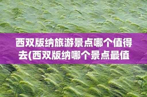 西双版纳旅游景点哪个值得去(西双版纳哪个景点最值得去)