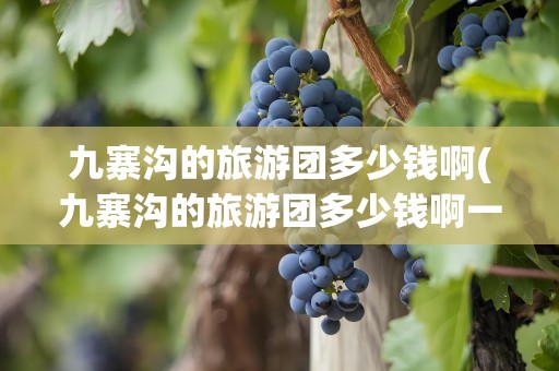 九寨沟的旅游团多少钱啊(九寨沟的旅游团多少钱啊一天)