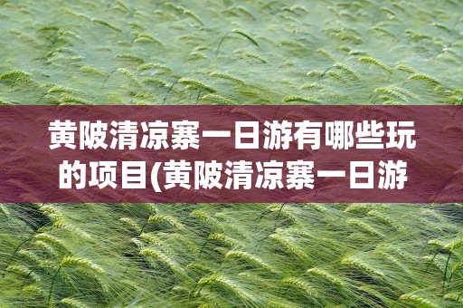 黄陂清凉寨一日游有哪些玩的项目(黄陂清凉寨一日游有哪些玩的项目啊)