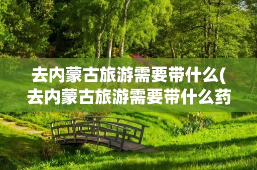 去内蒙古旅游需要带什么(去内蒙古旅游需要带什么药)