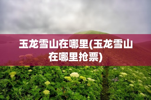 玉龙雪山在哪里(玉龙雪山在哪里抢票)