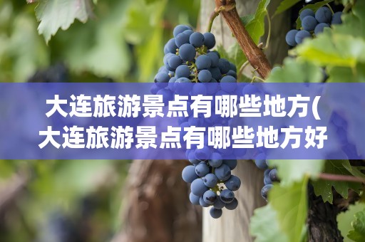 大连旅游景点有哪些地方(大连旅游景点有哪些地方好玩)