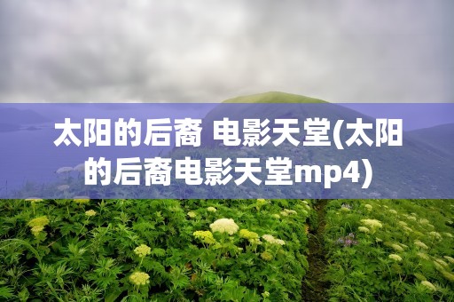 太阳的后裔 电影天堂(太阳的后裔电影天堂mp4)