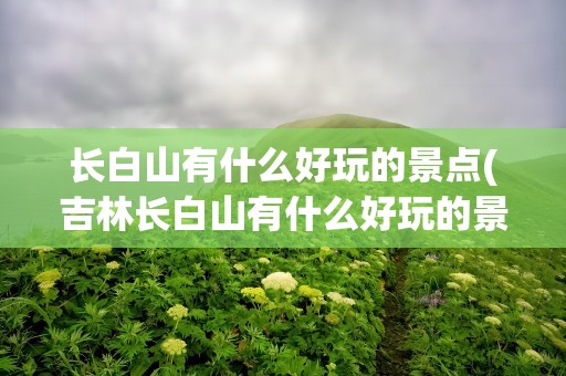 长白山有什么好玩的景点(吉林长白山有什么好玩的景点)