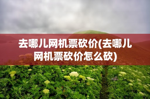 去哪儿网机票砍价(去哪儿网机票砍价怎么砍)