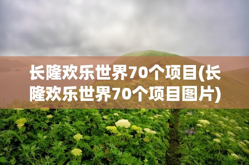长隆欢乐世界70个项目(长隆欢乐世界70个项目图片)