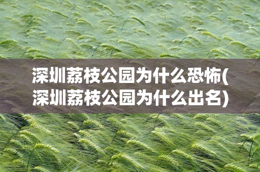 深圳荔枝公园为什么恐怖(深圳荔枝公园为什么出名)