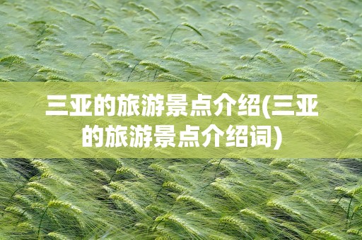 三亚的旅游景点介绍(三亚的旅游景点介绍词)