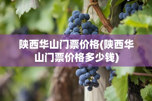 陕西华山门票价格(陕西华山门票价格多少钱)