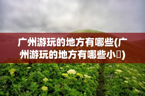 广州游玩的地方有哪些(广州游玩的地方有哪些小渓)