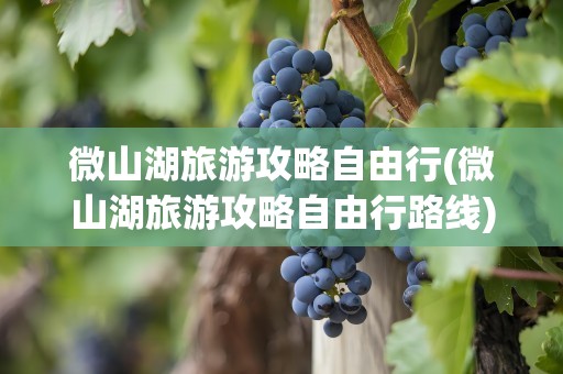 微山湖旅游攻略自由行(微山湖旅游攻略自由行路线)