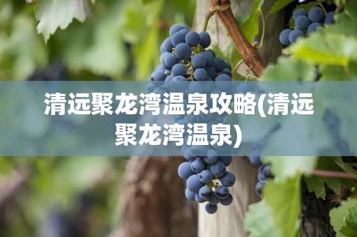 清远聚龙湾温泉攻略(清远聚龙湾温泉)