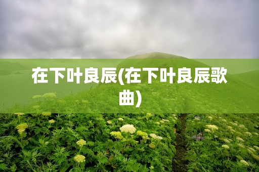 在下叶良辰(在下叶良辰歌曲)