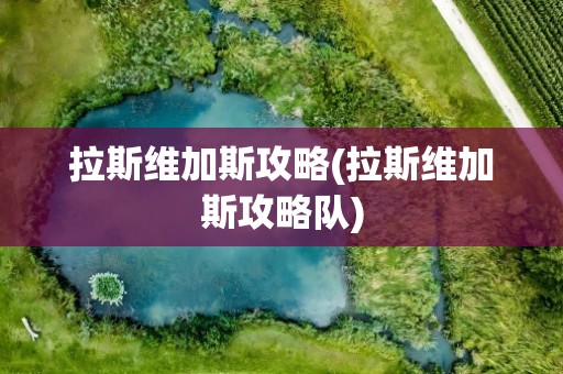 拉斯维加斯攻略(拉斯维加斯攻略队)