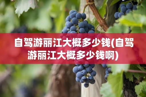 自驾游丽江大概多少钱(自驾游丽江大概多少钱啊)