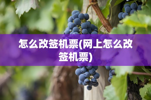 怎么改签机票(网上怎么改签机票)