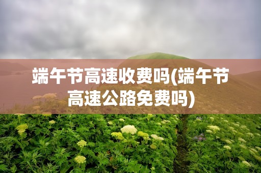 端午节高速收费吗(端午节高速公路免费吗)