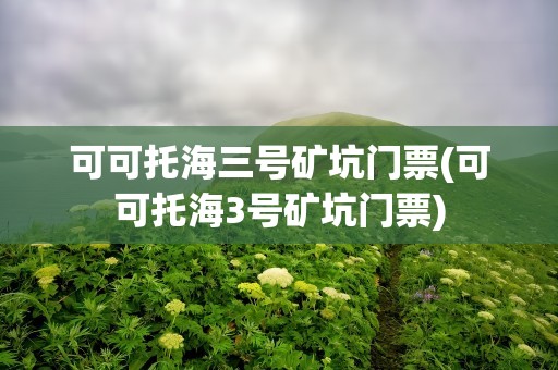 可可托海三号矿坑门票(可可托海3号矿坑门票)