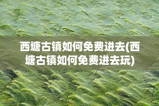 西塘古镇如何免费进去(西塘古镇如何免费进去玩)