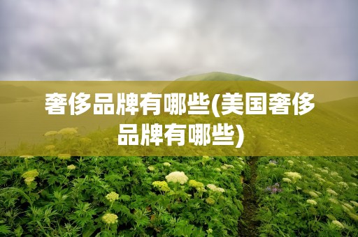 奢侈品牌有哪些(美国奢侈品牌有哪些)