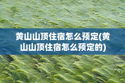 黄山山顶住宿怎么预定(黄山山顶住宿怎么预定的)