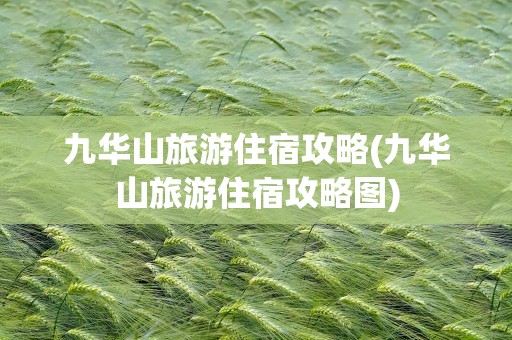 九华山旅游住宿攻略(九华山旅游住宿攻略图)