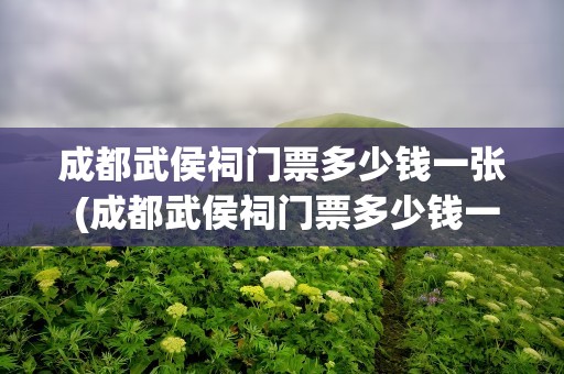 成都武侯祠门票多少钱一张 (成都武侯祠门票多少钱一张)