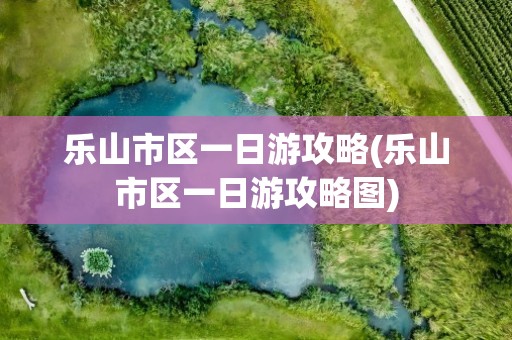 乐山市区一日游攻略(乐山市区一日游攻略图)