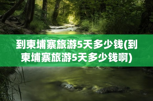 到柬埔寨旅游5天多少钱(到柬埔寨旅游5天多少钱啊)