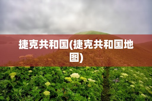 捷克共和国(捷克共和国地图)