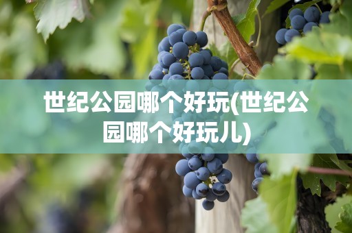 世纪公园哪个好玩(世纪公园哪个好玩儿)